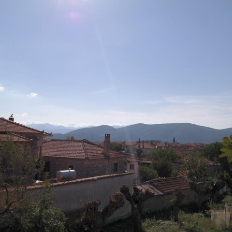 Ελάινον / Elainon - Διαβολίτσι / Diavolitsi