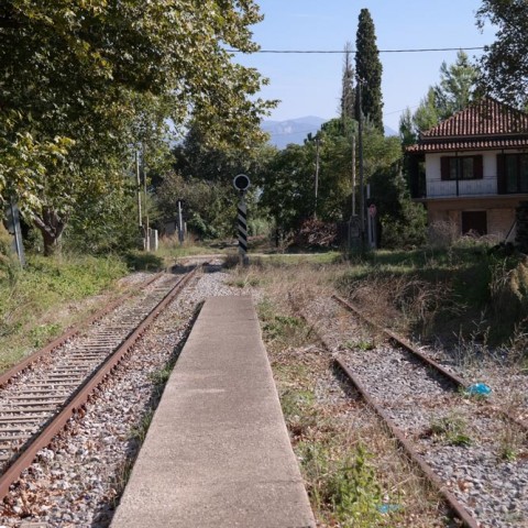 Ελάινον / Elainon - Διαβολίτσι / Diavolitsi